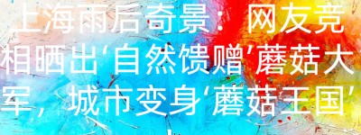 上海雨后奇景：网友竞相晒出‘自然馈赠’蘑菇大军，城市变身‘蘑菇王国’！