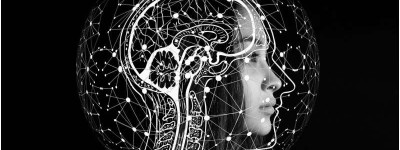 调查显示，大多数人认为ChatGPT等大型语言模型能够体验情感和记忆