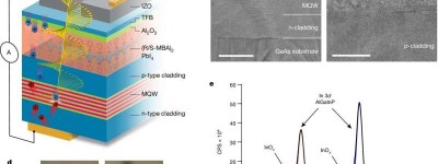 手性钙钛矿和III-V半导体助力光电子学实现自旋控制