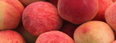 桃子几月份成熟？揭秘桃子的成熟季节与挑选技巧！