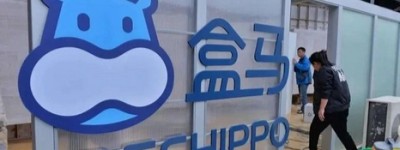 盒马X会员店仅剩5家：新零售模式的挑战与反思